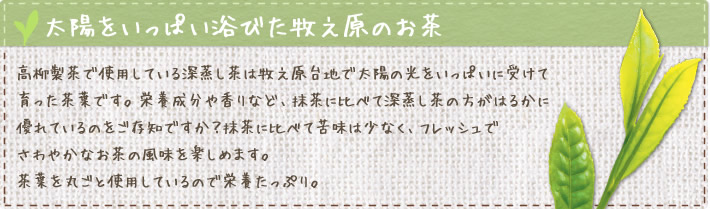 太陽をいっぱい浴びた牧之原のお茶