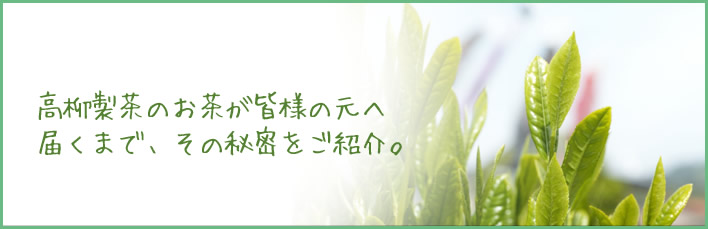 高柳製茶のお茶が皆様の元へ届くまで、その秘密をご紹介。